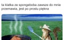 To jest życie