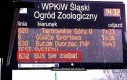 Bus się, co?