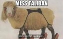 Miss Taliban 2015