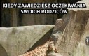 Zawiodłem...