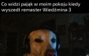 Cały plan na najbliższy dzień - przejść go 30 razy