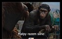Już pewnie to planują