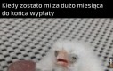 Kolacje są dla słabych