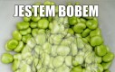 Bengier