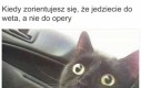 Oszukany znowu