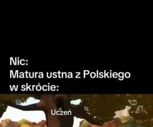 Te czarne prostokąty na górze i na dole ekranu są niezbędne