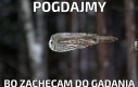 Pogdajmy