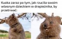 Czy to dobrze że mnie to śmieszy?