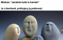 Ej niunia ładne węże