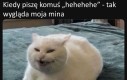 Heheszki