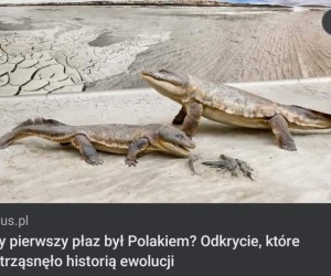 Tak podejrzewałem