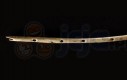 Najstarszy znaleziony instrument (40 000 lat)