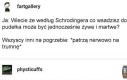 Ten mem przejdzie, albo nie