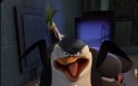 Kowalski Analiza