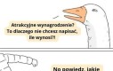 Chętnie też posłucham