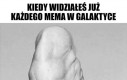 Pamiętam wszystkie memy