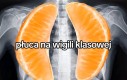 Zbyszko 3 cytryny