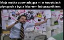 Chwała dinozaurom
