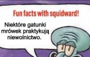 ANTS!!!