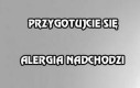 Przygotujcie się, alergia nadchodzi