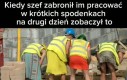 Na stówkę by to zobaczył