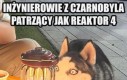 To chyba niedobrze