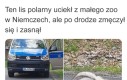 Wolność może poczekać