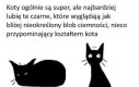 Blob ciemności