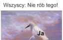 Tak już mam