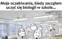 Lekcja biologii