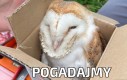 Pogadajmy