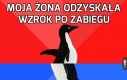 Moja żona odzyskała wzrok po zabiegu