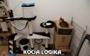 Kocia logika