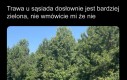Przecież widzę