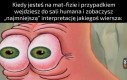 To ja może pójdę i nie będę przeszkadzać?