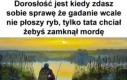 Wędkowanie - najpiękniejszy w świecie sport