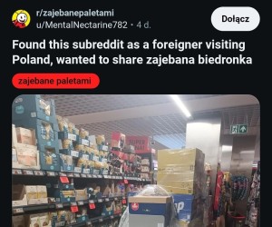 Nawet obcokrajowcy odkrywają nasz rodzimy cud