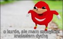 Jerzko z Florydy koleżko