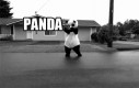 Panda, panda, panda.... ?!