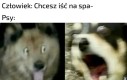 TAK