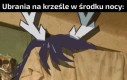 Rogata