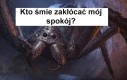 Żyjemy w symbiozie