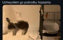 Po tym poznasz dobrego fotografa
