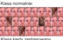 Nagły przypływ koncentracji