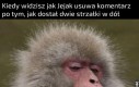 Weź riposty na klatę jak mężczyzna