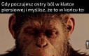 Albo i nie