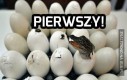 Gdy zaglądasz rano w komentarze...