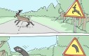 Strzałka już po ciebie biegnie