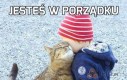 Jesteś w porządku