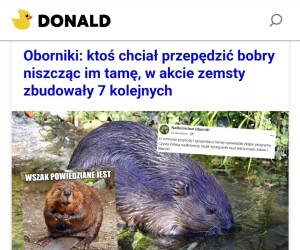 Nie zadzieraj z bobrami